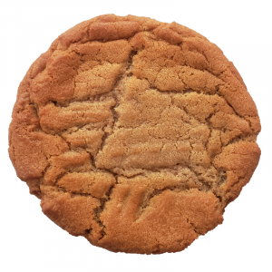 Peanut Butter Cookie