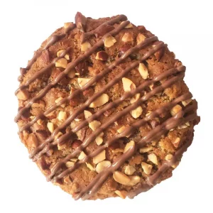 Coconut Almond Milk Chocolate Chip Cookie