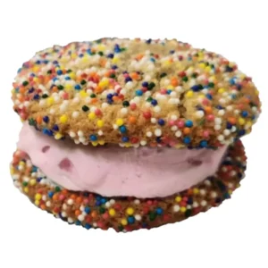Ice Cream Cookie Sandwich